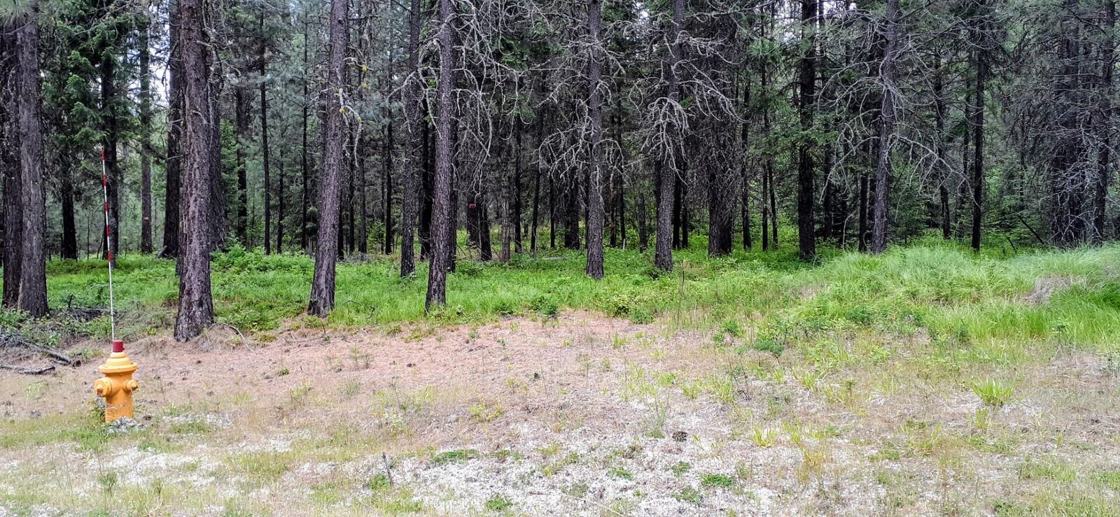 Property Photo:  4xx Couples Pl  WA 99109 