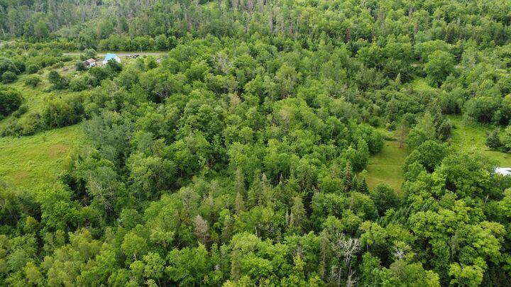 Property Photo:  Lot 235 Landsdowne Station Road  NS B0K 2A0 