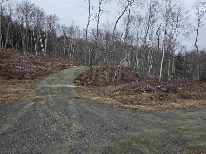Lot 2 239 Sissiboo Road — photo 1