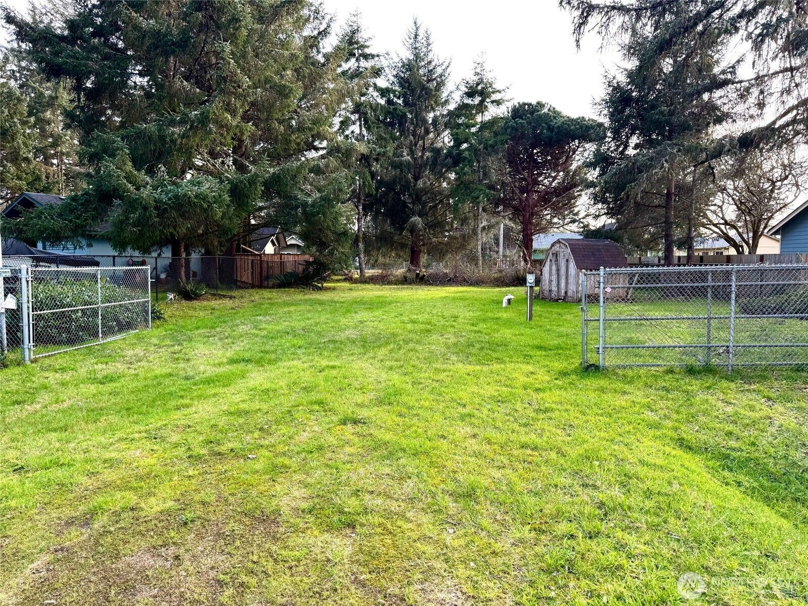Property Photo:  439  Quinault Avenue SE  WA 98569 