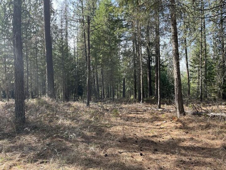 Property Photo: 4xx Couples Pl WA 99109