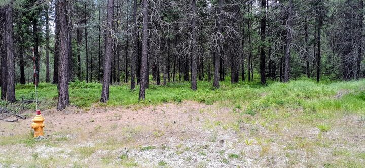 Property Photo:  4xx Couples Pl  WA 99109 