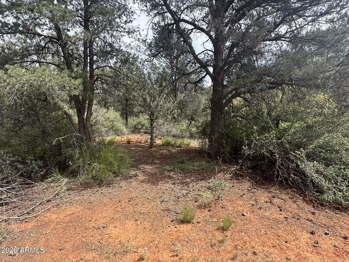 Property Photo:  95 Amberly Drive 28  AZ 86336 