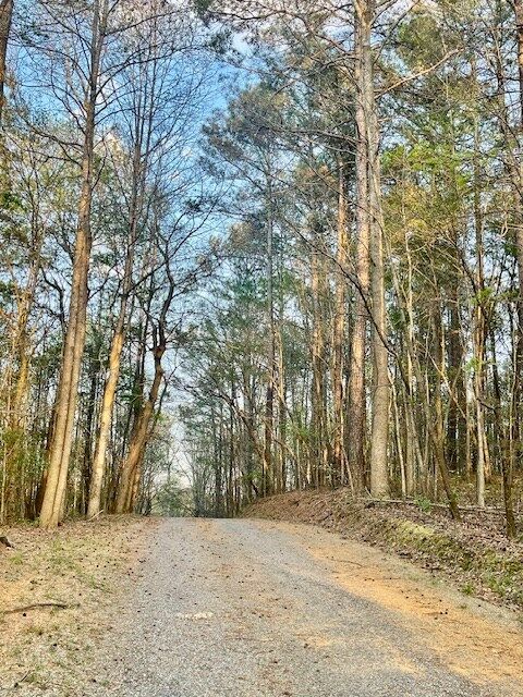 Property Photo:  464 Cloverdale Way  GA 30735 