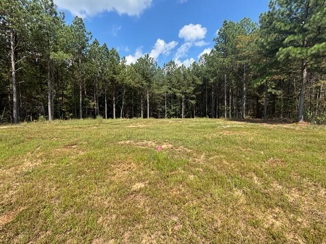 Property Photo:  0 Boone Pass  TN 37347 