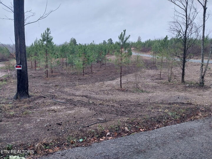 Property Photo: 339 Big Sewee Rd TN 37322