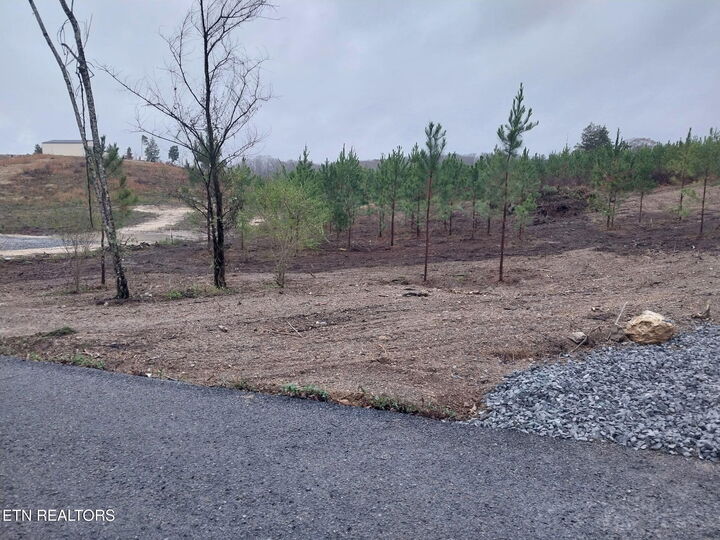 Property Photo:  339 Big Sewee Rd  TN 37322 