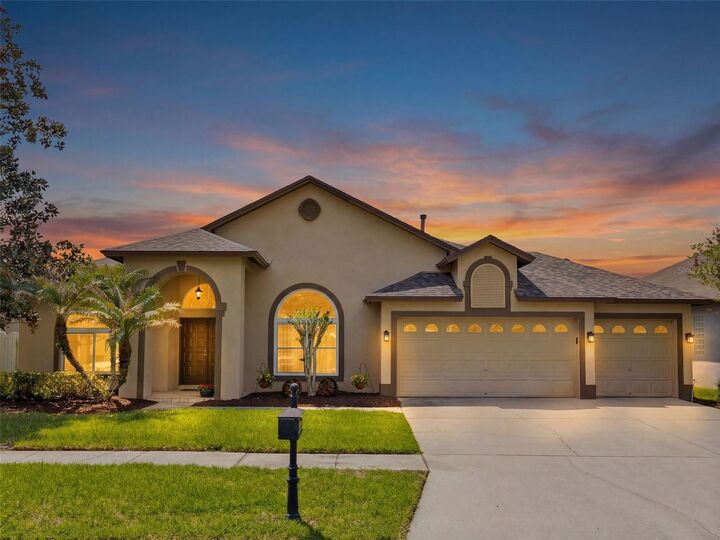 Property Photo:  10017 Oxford Chapel Drive  FL 33647 