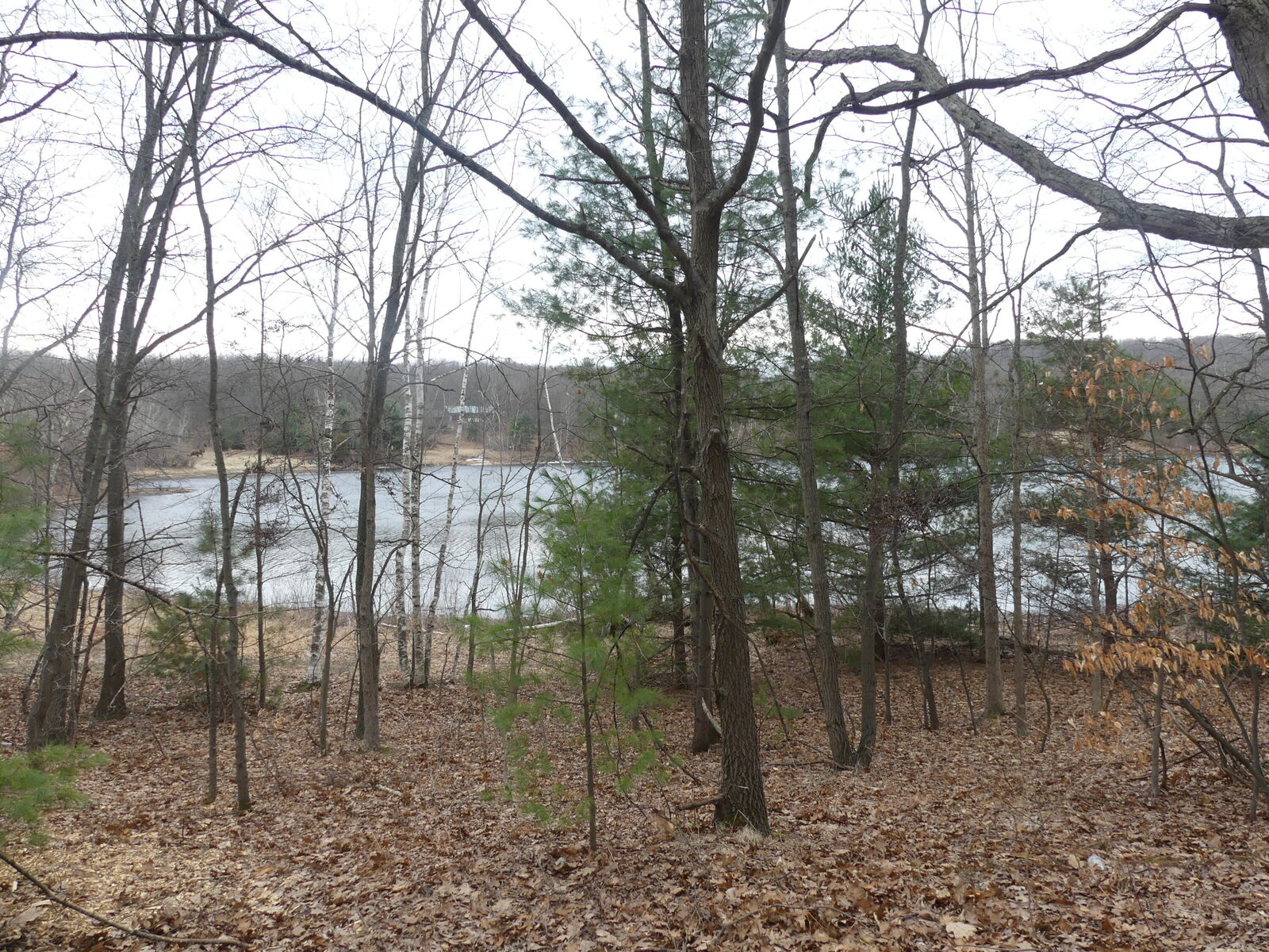 Property Photo:  V/L W Buchanan Road  MI 49455 