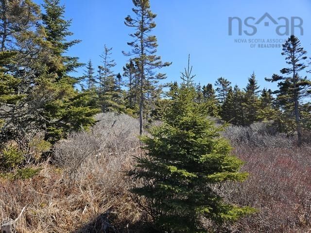 Highway 3 — photo 1