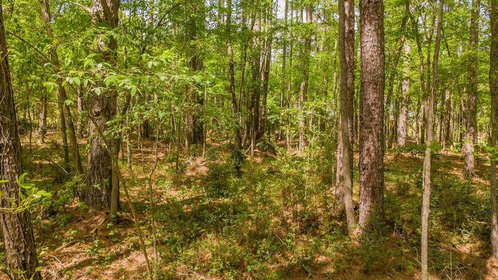 Property Photo:  1723 Pineview Lane  TX 75771 