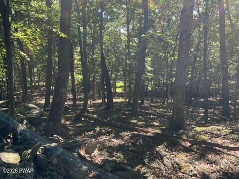 Property Photo:  Lot 290 Mountain Top Drive  PA 18328 
