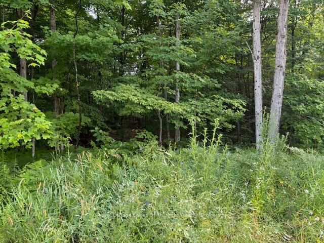 Property Photo:  60 Summer Leigh Trail  ON P0B 1M0 