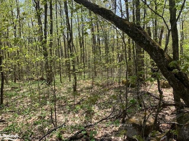 2376 South Horn Lake Road — photo 1