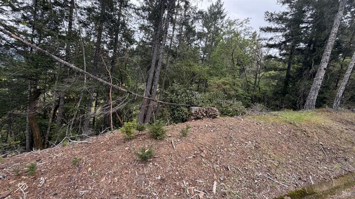 Property Photo:  25648 Madrone Drive  CA 95490 