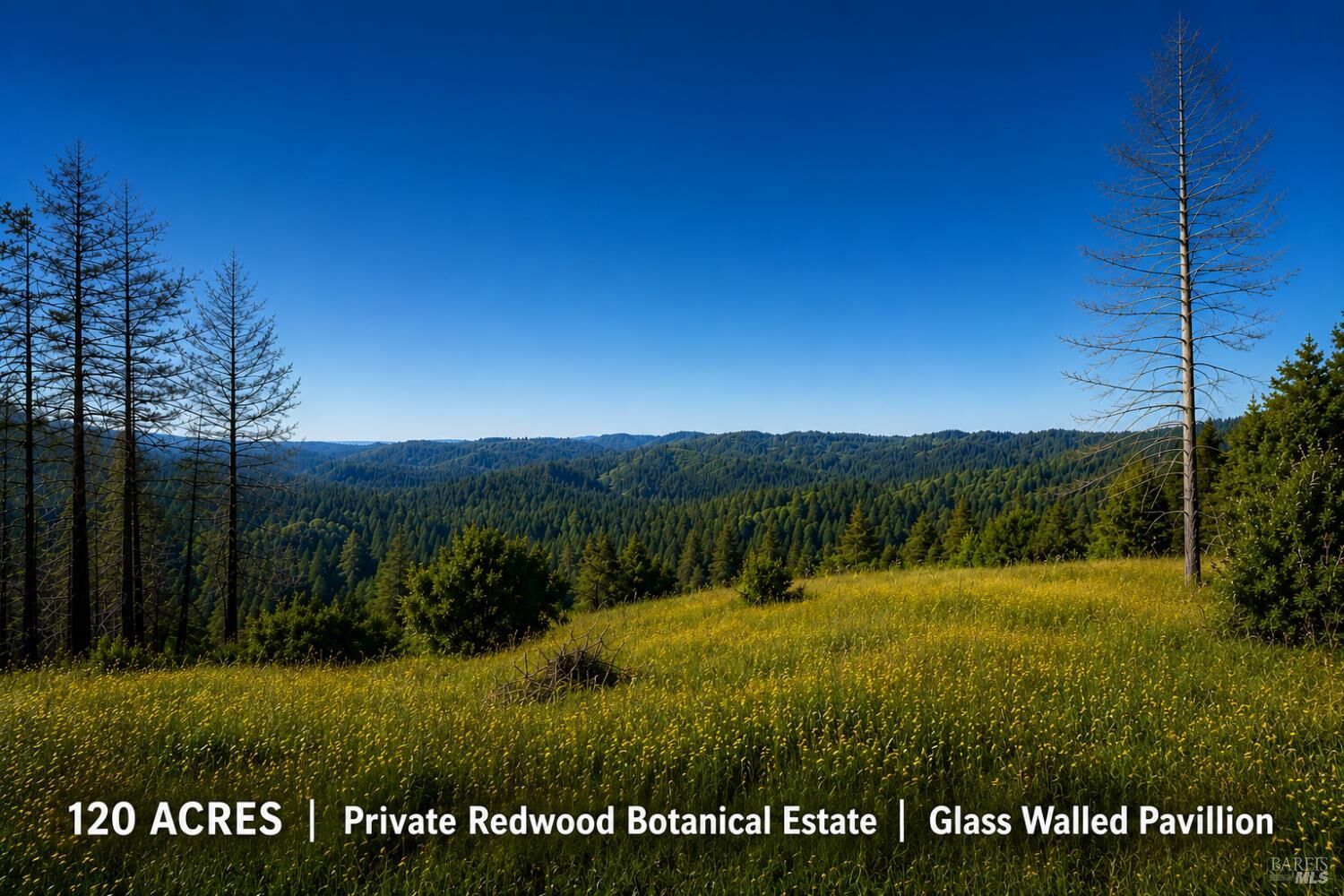 Property Photo:  18900 Armstrong Woods Road  CA 95446 