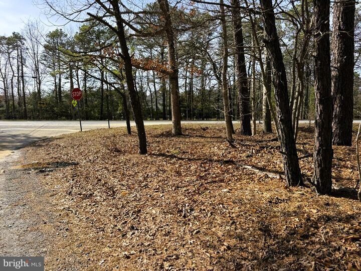 Property Photo:  3 Pinewood Drive  NJ 08087 