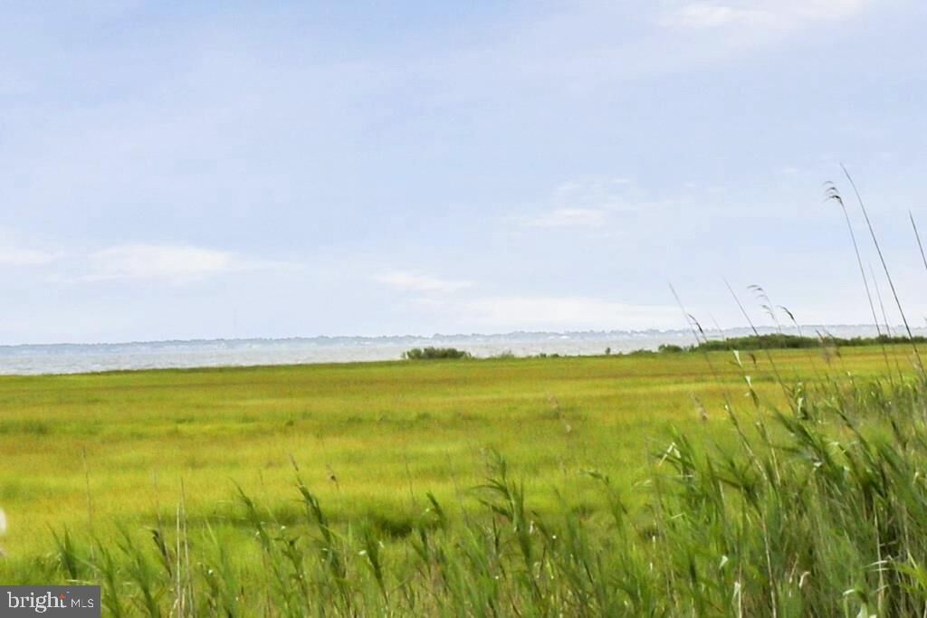 Property Photo:  Lot 43 Neptune Drive  VA 23356 