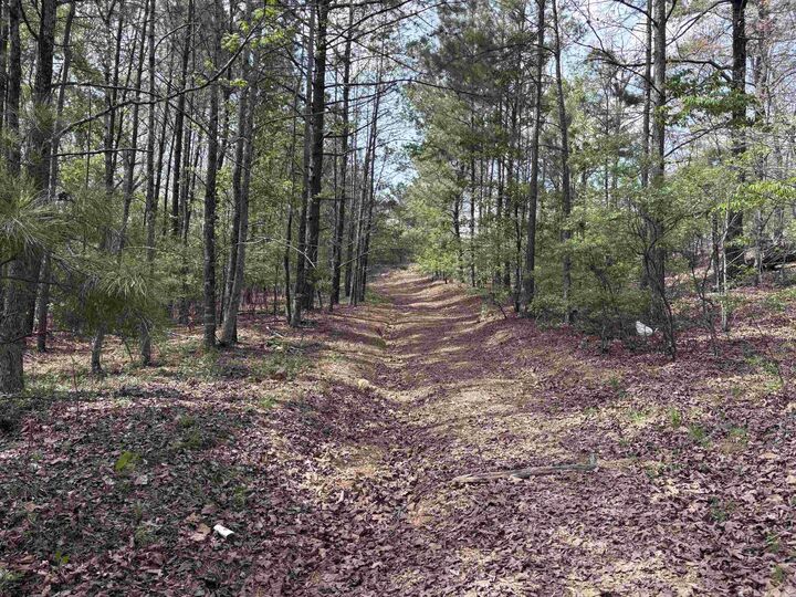 Property Photo:  00 Deer Creek Cove  AR 72120 
