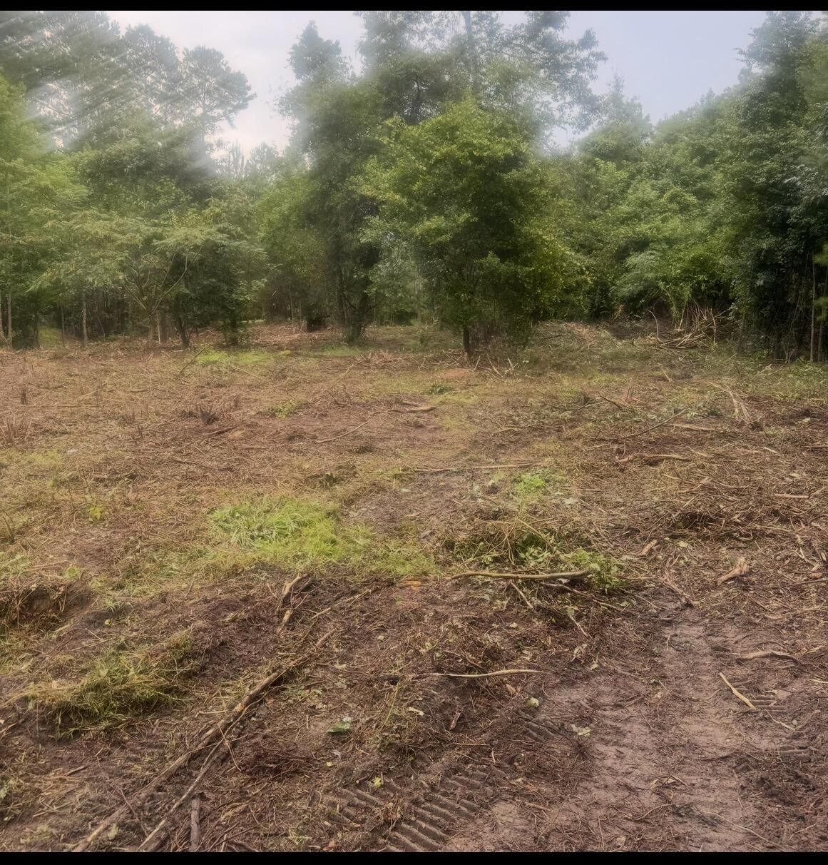 Property Photo: 1 Abandon Lane Lane SC 29486