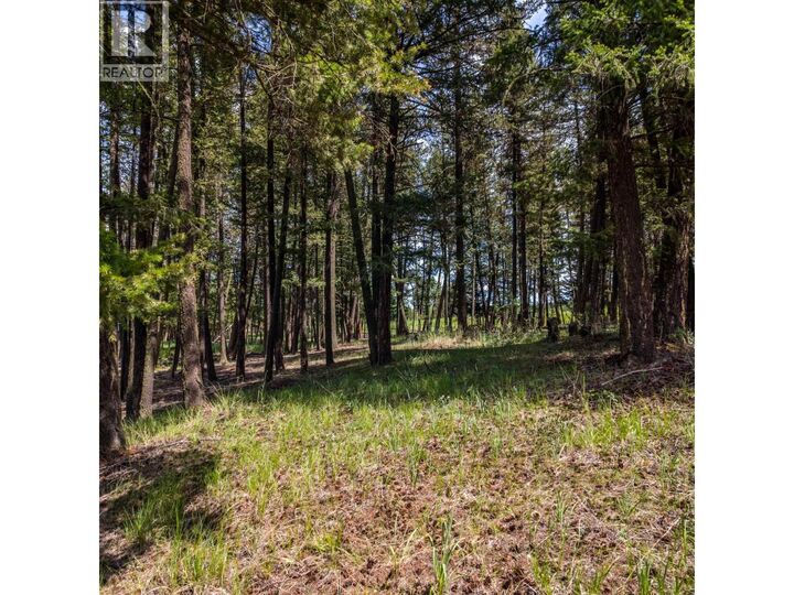Property Photo:  Lot 2 Lac La Hache Station Road  BC V0K 1T0 