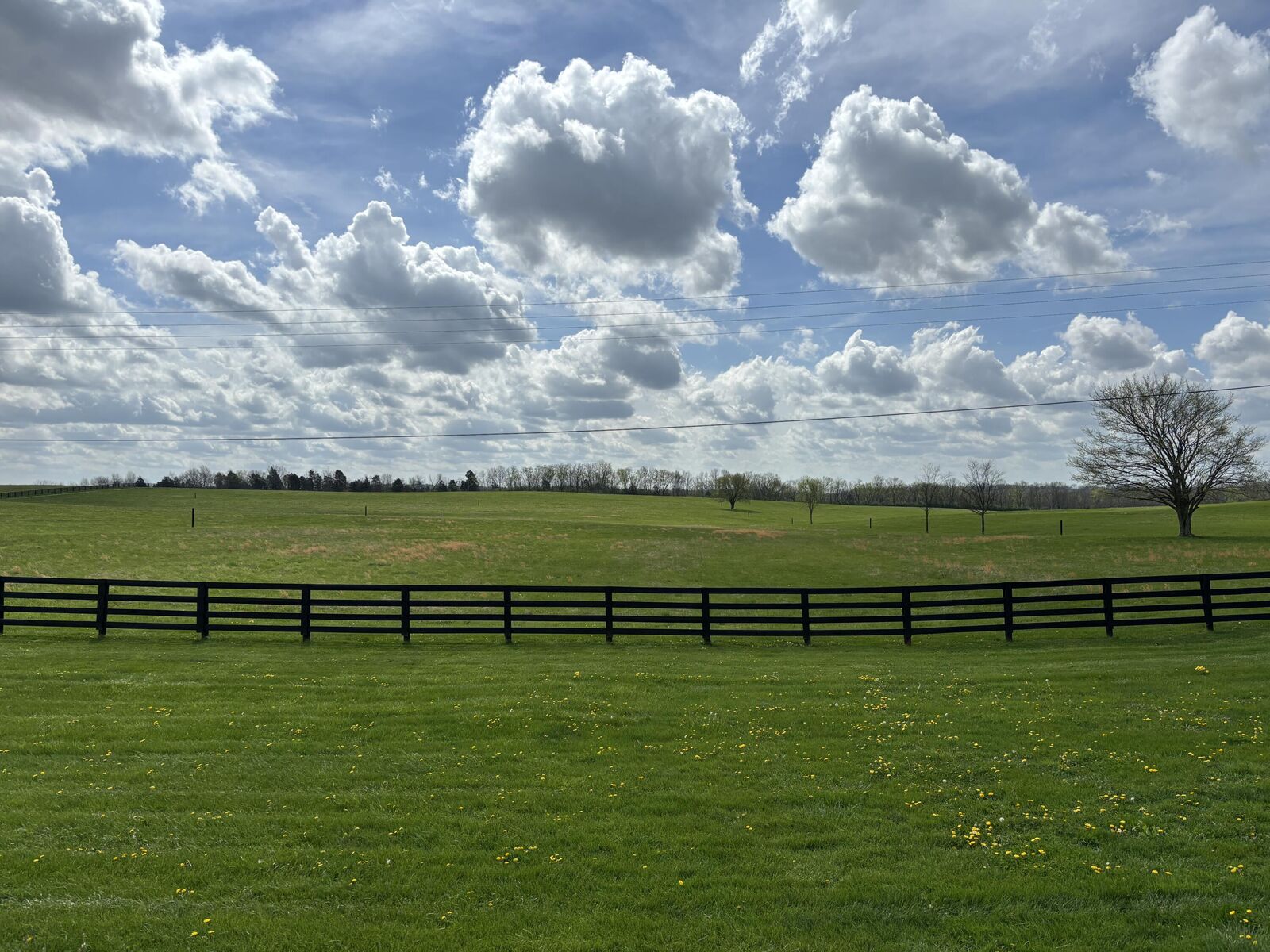 Property Photo:  385 Mills Lane  KY 40601 