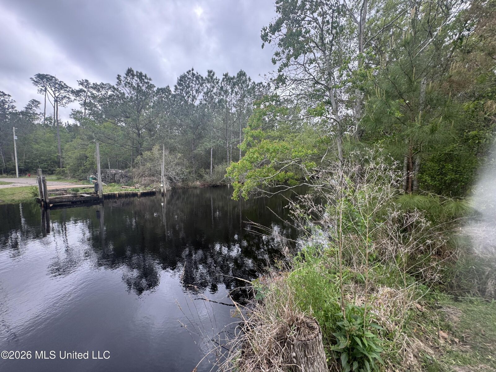 Property Photo:  Nsn 6&Amp7 Monroe Street  MS 39576 