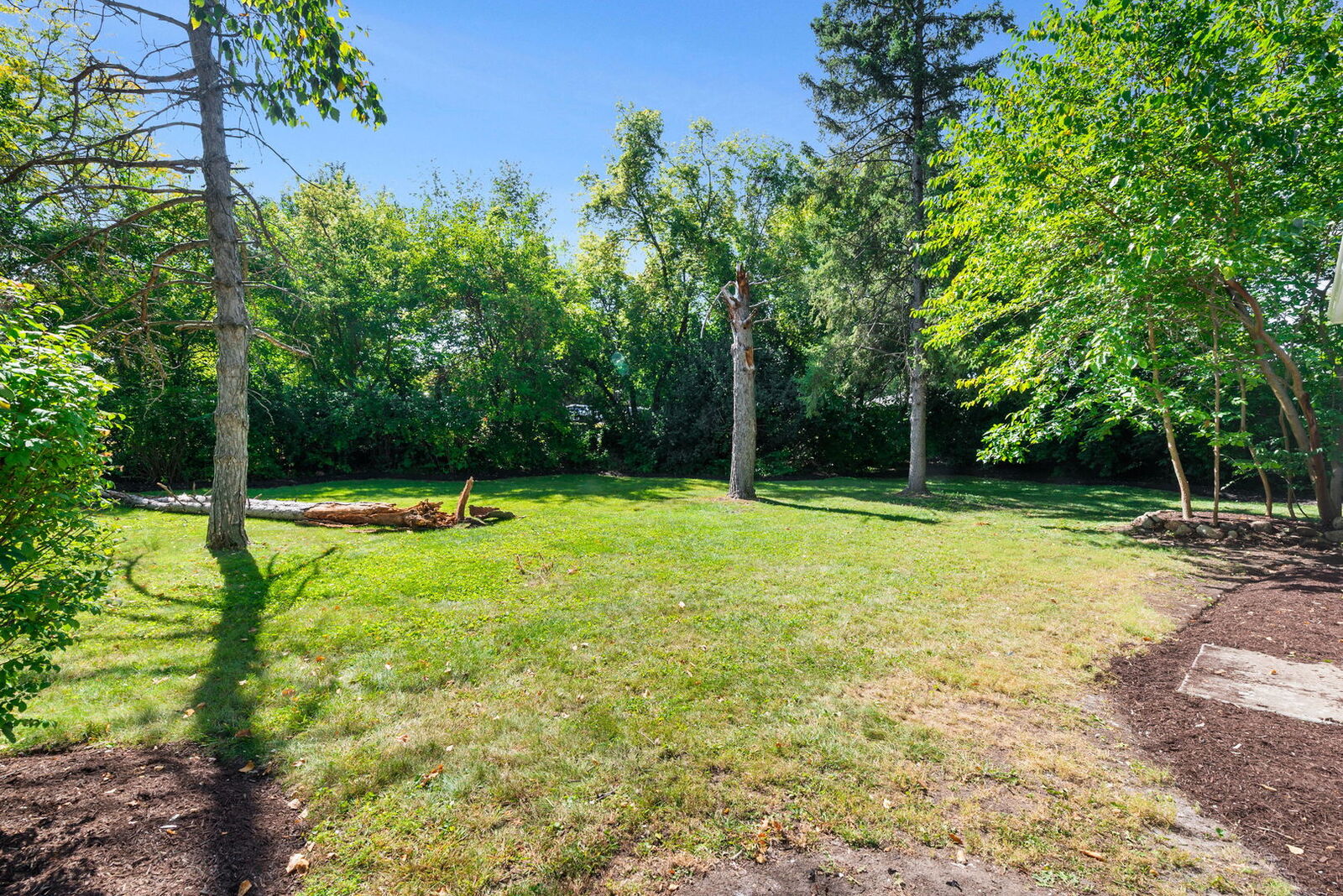 Property Photo:  88 N Airlite Street  IL 60123 