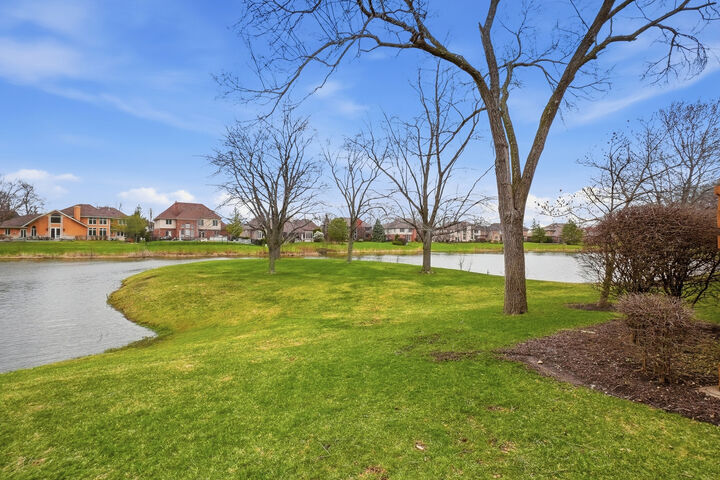 Property Photo: 91 Spyglass Circle 0 IL 60463