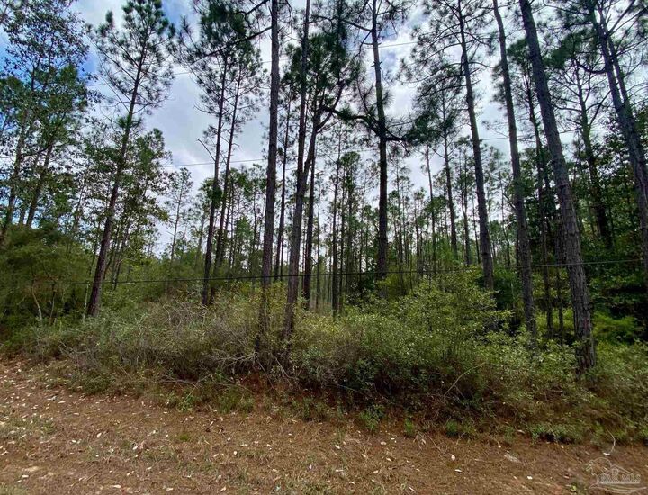 Property Photo:  000 Allegro St  FL 32583 