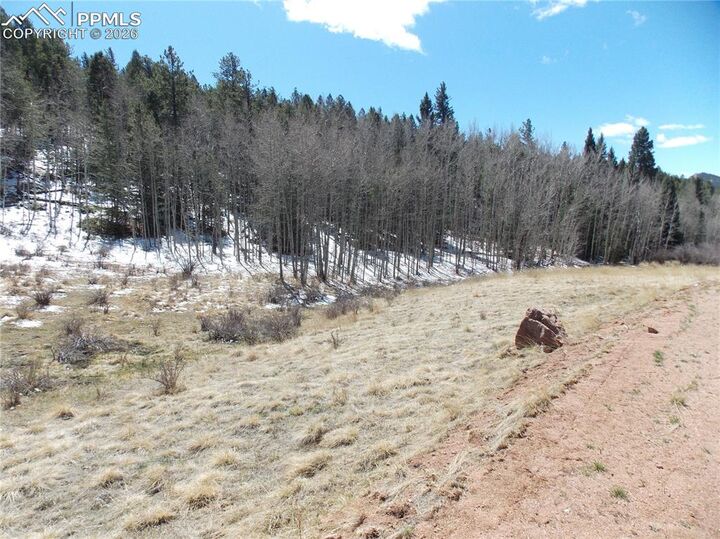 Property Photo:  388 Grey Eagle Drive  CO 80813 