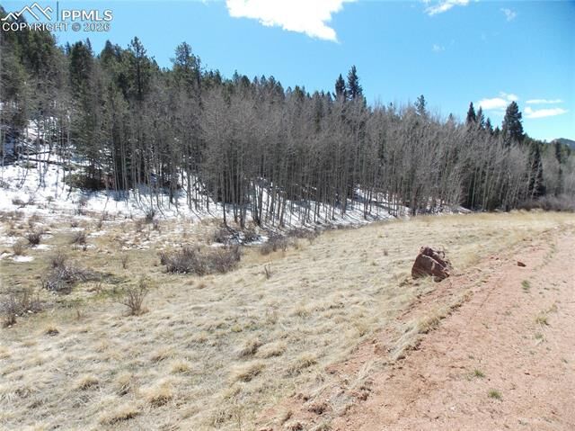 Property Photo:  388 Grey Eagle Drive  CO 80813 