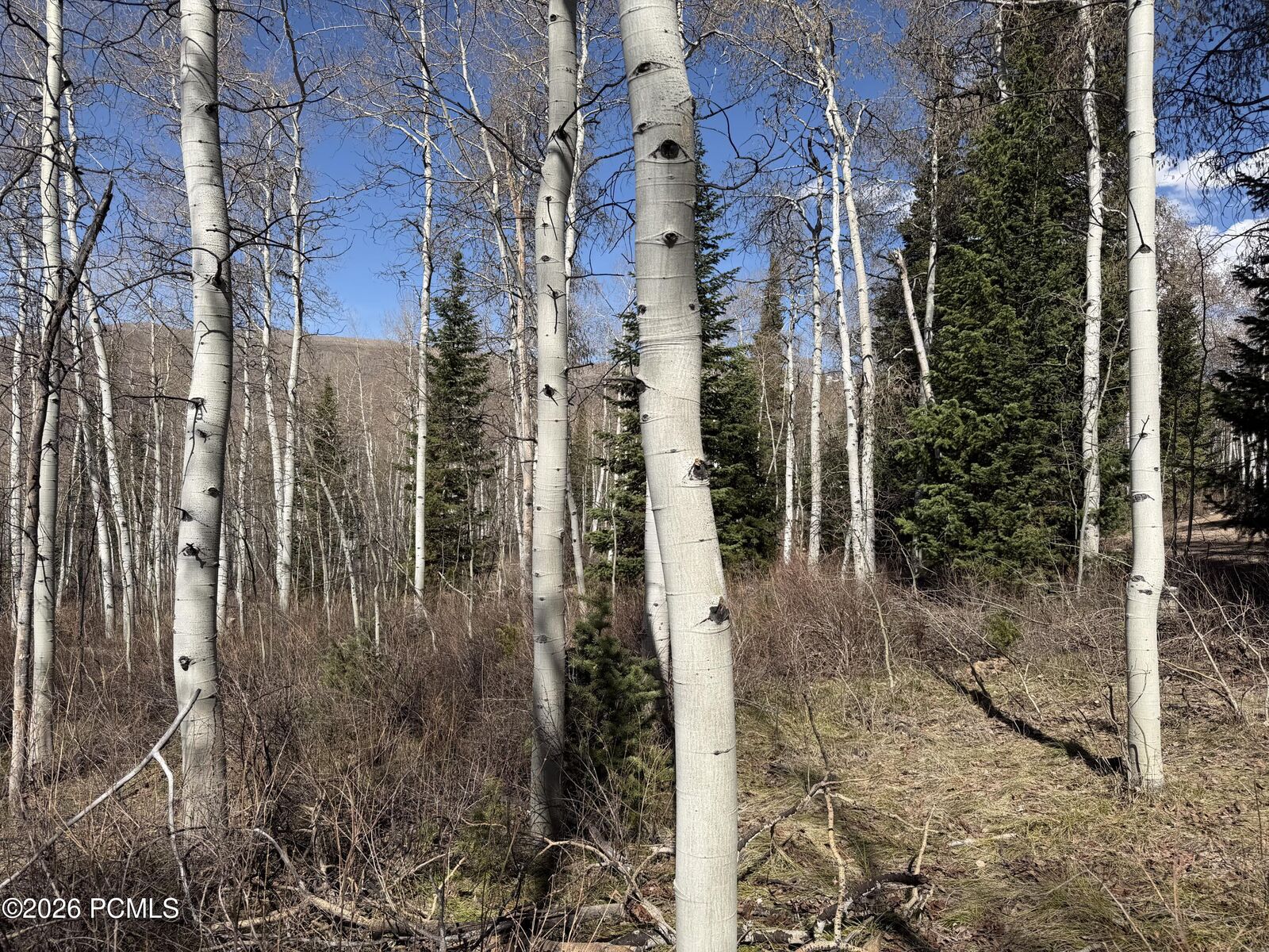 Property Photo:  5209 White Pine Circle  UT 84055 