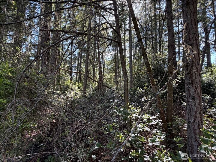 Property Photo: 10506 Tahoma Drive WA 98303