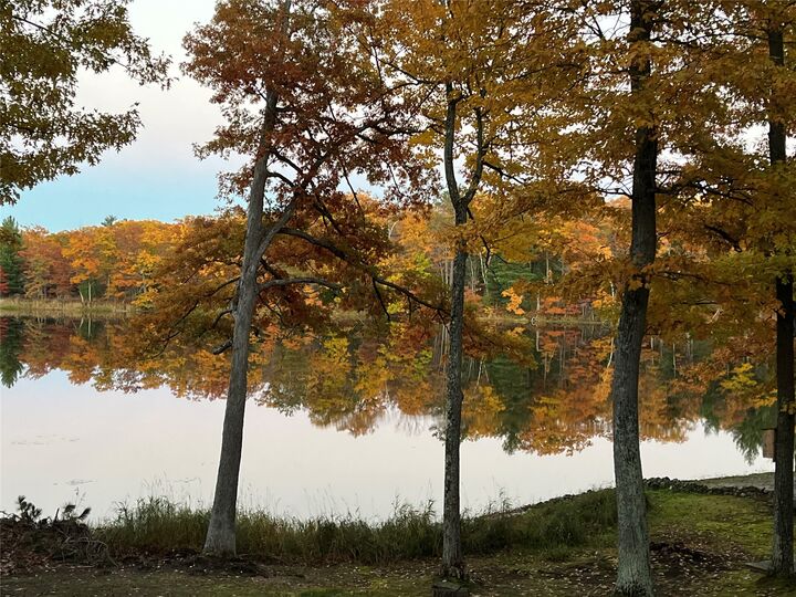 Property Photo:  N 5284 Golden Pond  WI 54876 