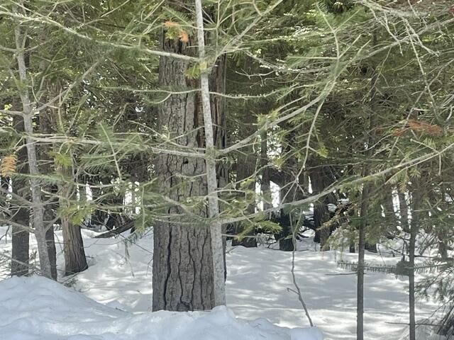 Property Photo:  3.08 Ac E Huron  MI 49775 