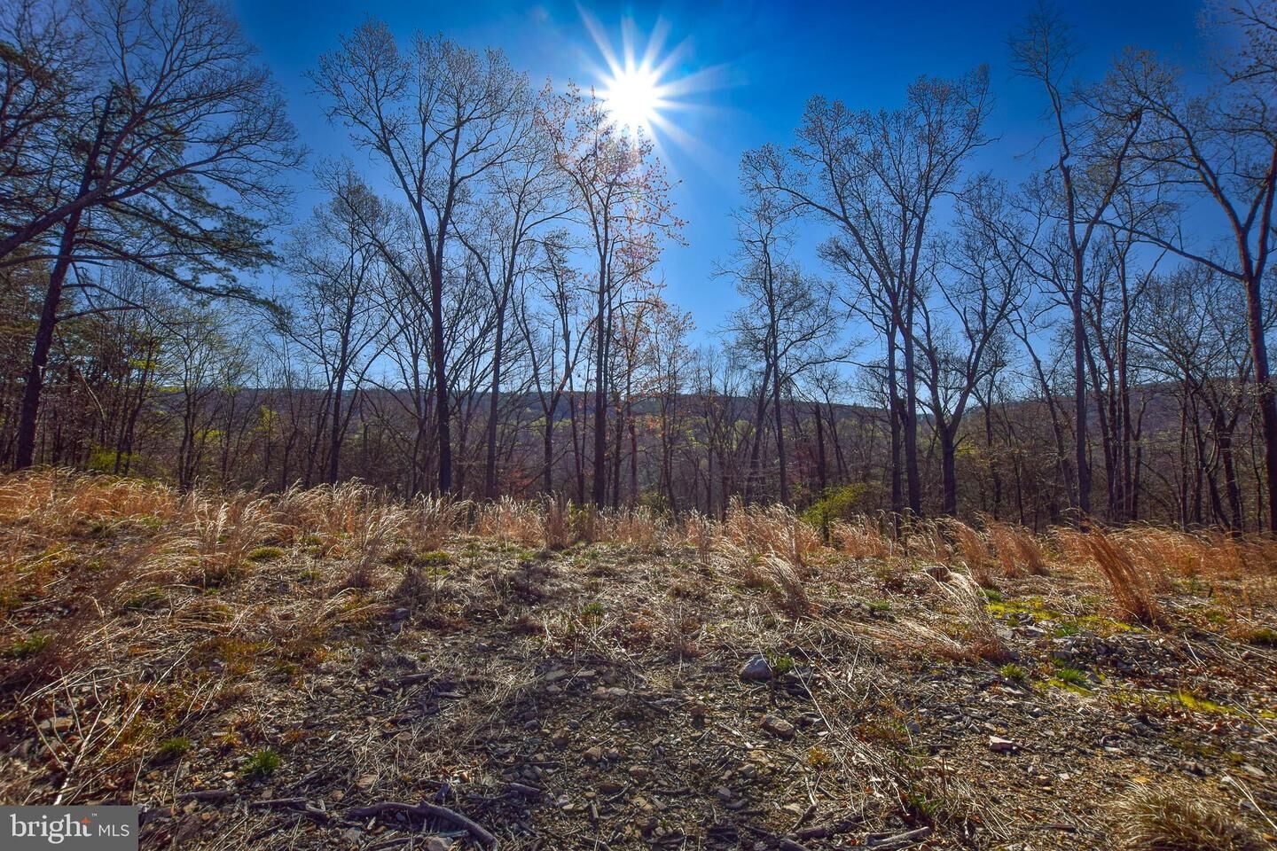 Property Photo:  Lot 25 Vixen Lane  WV 25420 