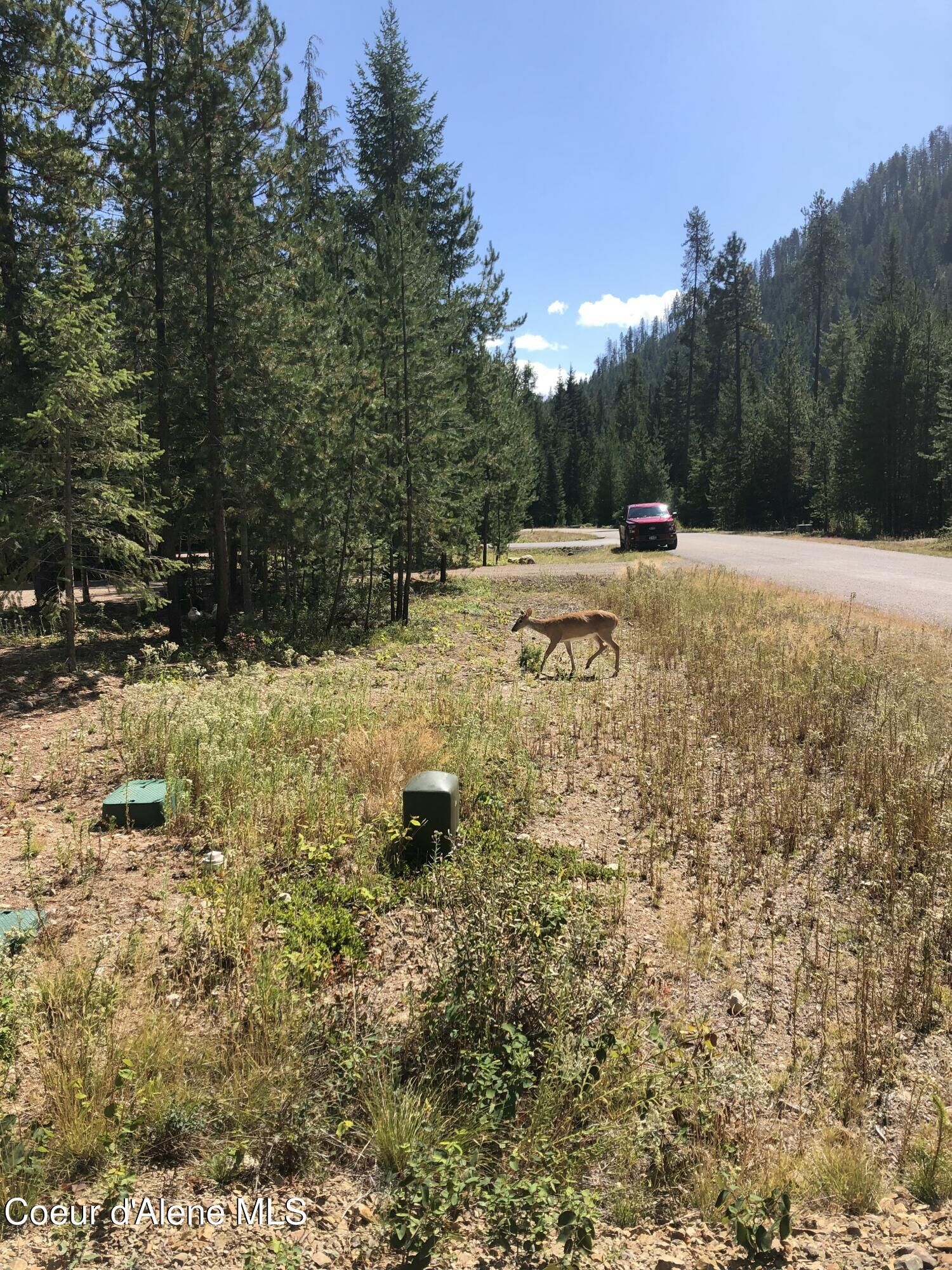 Property Photo:  L25 Tracy Ln  ID 83856 