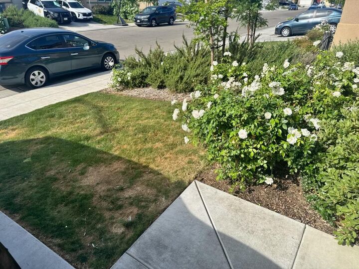 Property Photo:  6622 E Berkeley Avenue  CA 93727 