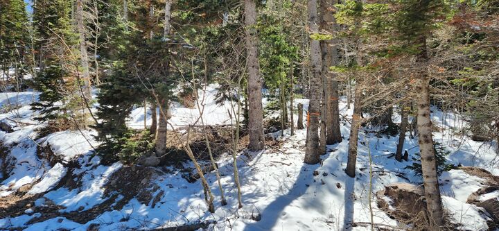 Property Photo:  653 N Hwy 143  UT 84719 