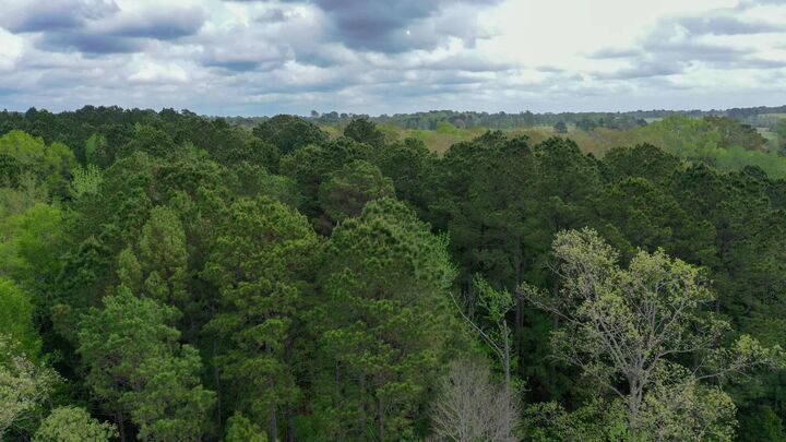 Property Photo:  0001 Cr 1628 Tract 1  TX 75563 