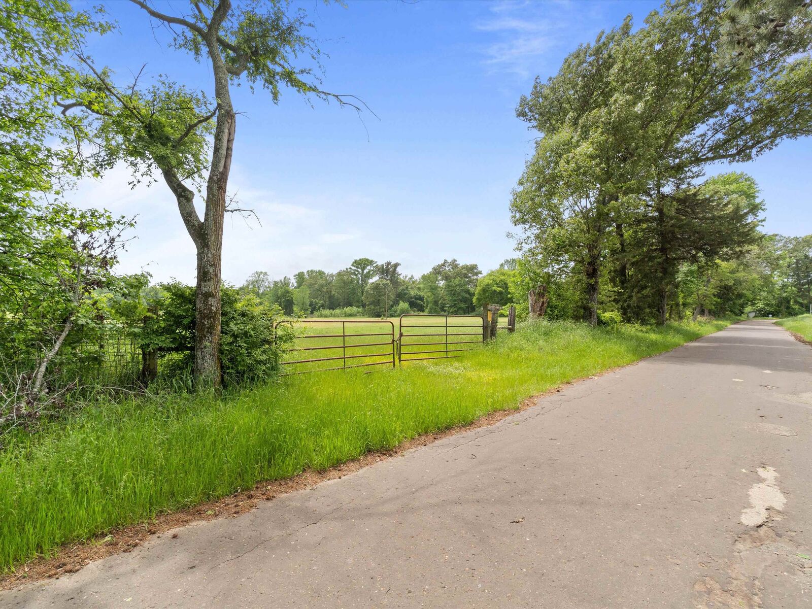 Property Photo: Tbd Hyena Rd. TX 75644