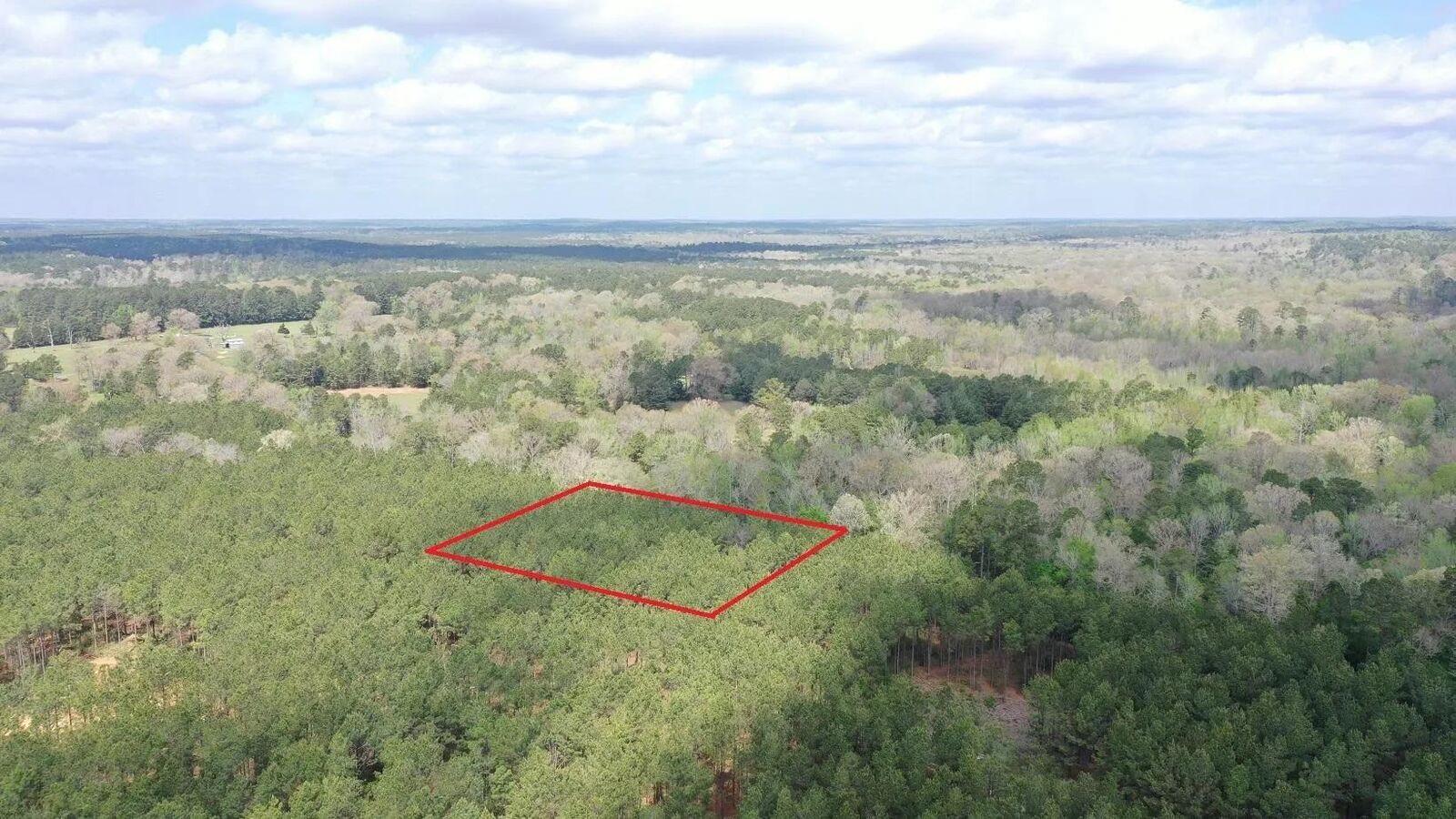 Property Photo:  0 County Road 1926  TX 75563 