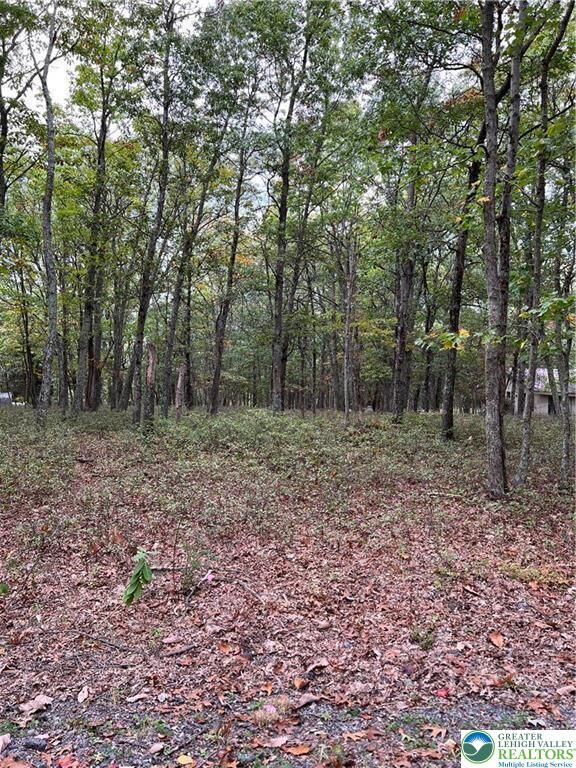 Property Photo: 275 Forest Drive PA 18325