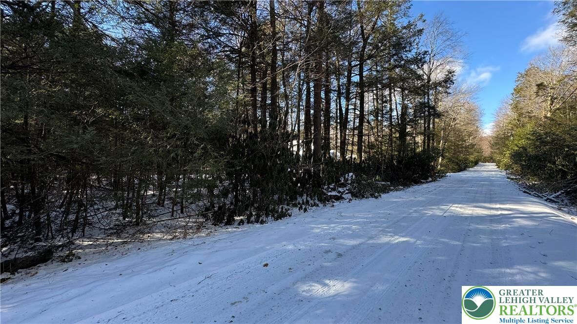 Property Photo: Rodda Road PA 18210