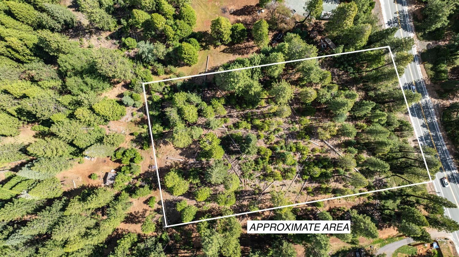 Property Photo:  0 27605 State Highway 88  CA 95666 