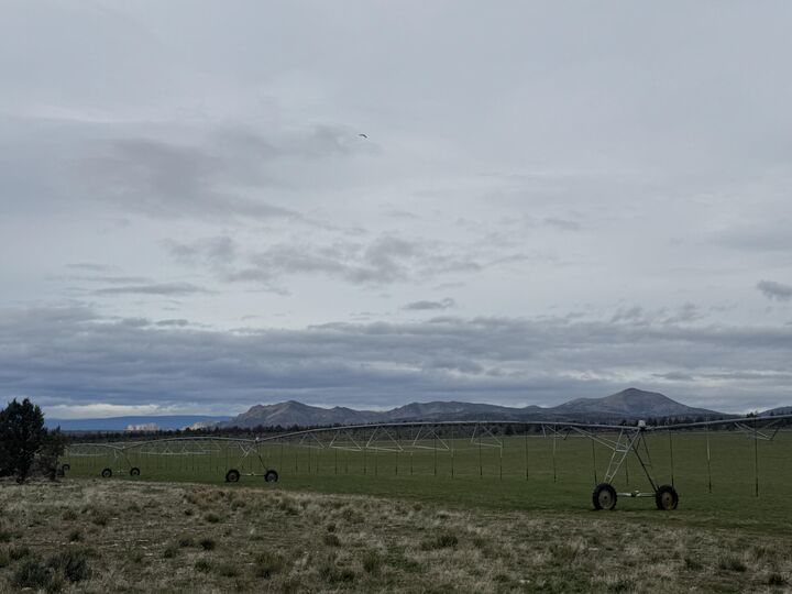 Property Photo:  1299 NW McDaniel Road  OR 97753 