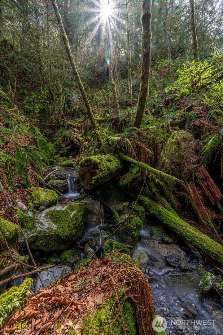 Property Photo: 861 Summerhill Drive WA 98284