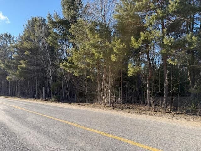 Property Photo:  00 Demerly Road  MI 49616 