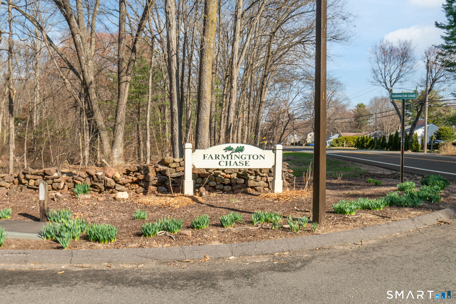 Property Photo:  132 Farmington Chase Crescent 132  CT 06032 
